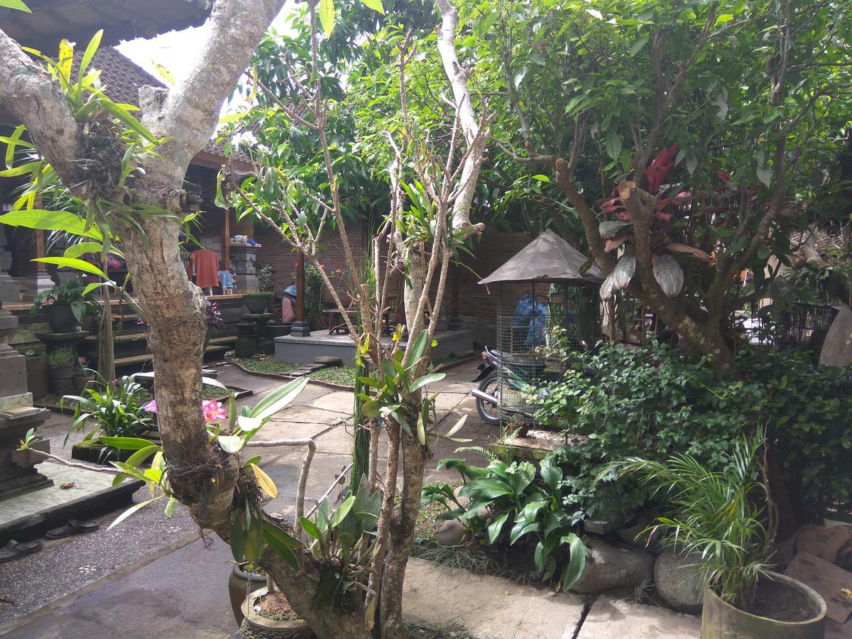 The Hidden Bali Inn Ubud Zewnętrze zdjęcie